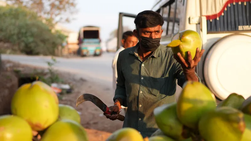 Tender coconut vendor holding up a green coconut beside a roadside pile near Devanahalli, Bengaluru