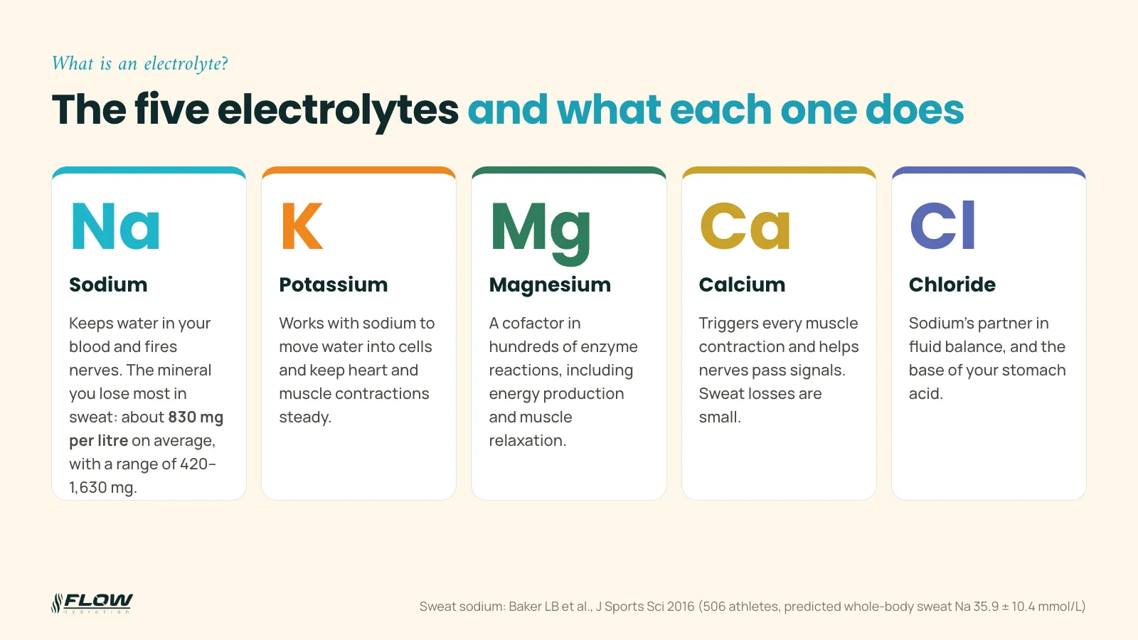 Infographic of the five electrolytes, sodium, potassium, magnesium, calcium and chloride, with what each does in the body